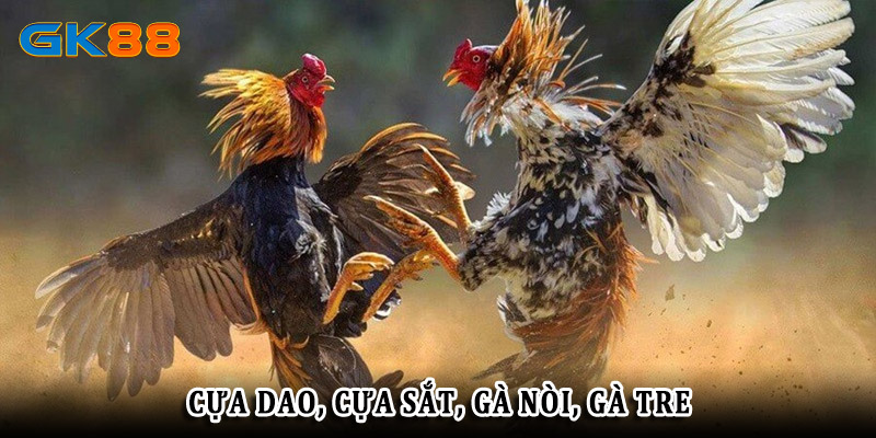 Đa dạng các loại gà