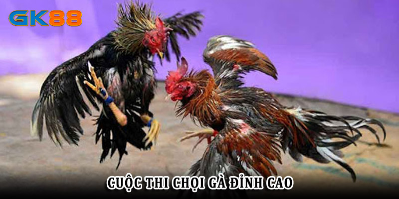 Hệ thống đá gà GK88 đỉnh cao