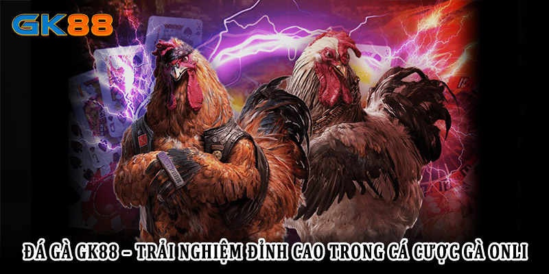 Đá gà GK88 - trải nghiệm đỉnh cao trong cá cược online